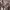 https://res.cloudinary.com/billionhands/image/upload/v1779961713/items/g7wf3predcxwuyblkx8u.jpg-3cover