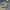 https://res.cloudinary.com/billionhands/image/upload/v1779965261/items/fjwawtatr5fnlalrwxaa.webp-1cover