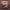 https://res.cloudinary.com/billionhands/image/upload/v1779965400/items/e4gorfg7n3t9mfazruyy.webp-3cover