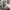 https://res.cloudinary.com/billionhands/image/upload/v1779965506/items/vr2lyu3gknc7bigj6qyf.webp-0cover