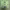 https://res.cloudinary.com/billionhands/image/upload/v1779967194/items/zcwwteqjy8a34obnunn9.jpg-1cover