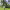 https://res.cloudinary.com/billionhands/image/upload/v1779968068/items/xcoectmbg7rvrtelc18b.webp-3cover