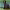 https://res.cloudinary.com/billionhands/image/upload/v1779968371/items/ssk9sqnmx4qpy5qwjzja.jpg-2cover