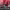 https://res.cloudinary.com/billionhands/image/upload/v1779970370/items/t8pdjl7e3zshrdaetnky.jpg-3cover