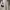 https://res.cloudinary.com/billionhands/image/upload/v1779970982/items/lvqxpw2wygamgoxhcs04.webp-3cover