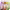 https://res.cloudinary.com/billionhands/image/upload/v1779973280/items/tkduktudpqp4hdzzldm4.webp-1cover