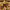 https://res.cloudinary.com/billionhands/image/upload/v1779974376/items/awthyowhpnirmglifxy0.jpg-2cover