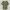 https://res.cloudinary.com/billionhands/image/upload/v1779978516/items/dytfl3xlln5euoxm6tmc.webp-2cover