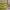 https://res.cloudinary.com/billionhands/image/upload/v1779979139/items/fmkl27fc55nh5cxrsko1.jpg-0cover
