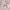 https://res.cloudinary.com/billionhands/image/upload/v1779979435/items/omd4in2s35uyskqgnp6s.jpg-3cover