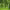 https://res.cloudinary.com/billionhands/image/upload/v1779983850/items/k5fvgprhjofpdhwieynq.jpg-2cover