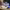 https://res.cloudinary.com/billionhands/image/upload/v1779984453/items/uvbfo0n74sx8okrlql3j.webp-2cover