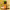 https://res.cloudinary.com/billionhands/image/upload/v1779986240/items/vt1zivnouuemciouejdp.webp-0cover