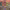 https://res.cloudinary.com/billionhands/image/upload/v1779986620/items/p45io55v1v3ksbdpylcf.jpg-0cover