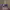 https://res.cloudinary.com/billionhands/image/upload/v1779986786/items/nkgbrtgemhihnzyeptx1.jpg-0cover