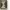 https://res.cloudinary.com/billionhands/image/upload/v1779989224/items/bsffwhh3onrtzchslgjg.jpg-2cover