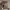 https://res.cloudinary.com/billionhands/image/upload/v1779990489/items/u2tteuhduaumxomqkhzq.jpg-0cover