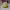 https://res.cloudinary.com/billionhands/image/upload/v1779992533/items/flqhfdgqikqekuph0psc.jpg-1cover