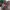 https://res.cloudinary.com/billionhands/image/upload/v1779992984/items/jgfmousdirmeundtvhmf.jpg-2cover