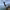 https://res.cloudinary.com/billionhands/image/upload/v1779993796/items/ttd9b2pg93z95uulc47f.jpg-3cover