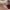 https://res.cloudinary.com/billionhands/image/upload/v1779994503/items/mwnrjhdwogslssmtu56w.jpg-3cover
