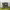 https://res.cloudinary.com/billionhands/image/upload/v1779994977/items/swtnrr1bvtyyplo49st8.jpg-2cover