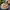 https://res.cloudinary.com/billionhands/image/upload/v1779998989/items/nct1rnb0klpgqlakkcbf.webp-2cover