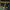 https://res.cloudinary.com/billionhands/image/upload/v1780000518/items/fhghif6sp1npythjiral.jpg-2cover