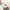 https://res.cloudinary.com/billionhands/image/upload/v1780002841/items/erhgstj1sgjqd96xvxmb.webp-1cover