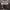 https://res.cloudinary.com/billionhands/image/upload/v1780004017/items/f12bhgodv1qdr3notplc.jpg-2cover