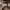 https://res.cloudinary.com/billionhands/image/upload/v1780004025/items/xiv0eey05yzm0oqppduz.webp-0cover