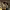 https://res.cloudinary.com/billionhands/image/upload/v1780004119/items/bpbay5avxymjrp1vqmlc.jpg-3cover