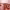 https://res.cloudinary.com/billionhands/image/upload/v1780004847/items/s9uphonthiph3ziazlhw.webp-3cover