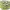 https://res.cloudinary.com/billionhands/image/upload/v1780007232/items/uer1efphx0fwds06mrzc.jpg-2cover
