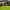 https://res.cloudinary.com/billionhands/image/upload/v1780007237/items/j4c1rp35pz6fdvp2uibi.jpg-0cover