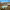 https://res.cloudinary.com/billionhands/image/upload/v1780007243/items/iydtbafwrkkmhaferyxm.jpg-1cover