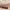 https://res.cloudinary.com/billionhands/image/upload/v1780007506/items/dspfl6lrlfuktmxpinxc.jpg-2cover