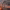 https://res.cloudinary.com/billionhands/image/upload/v1780007649/items/fvc9tchhclaijlvdw4yl.jpg-3cover