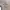 https://res.cloudinary.com/billionhands/image/upload/v1780007773/items/pv8rlqr8ccadv1vshxxx.avif-0cover
