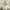 https://res.cloudinary.com/billionhands/image/upload/v1780007773/items/rtmdixgjcskpbccczlne.avif-2cover