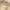 https://res.cloudinary.com/billionhands/image/upload/v1780007780/items/s8puhwhs8qp0wgoqijxa.jpg-2cover
