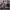 https://res.cloudinary.com/billionhands/image/upload/v1780008813/items/yew3u3yovkkrqoy1ks4r.jpg-1cover