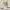 https://res.cloudinary.com/billionhands/image/upload/v1780011922/items/frtmr2exoit4snfflscf.webp-1cover