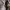 https://res.cloudinary.com/billionhands/image/upload/v1780013439/items/jdlih8n11jttvtarhlz7.webp-3cover