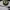 https://res.cloudinary.com/billionhands/image/upload/v1780015230/items/qipmacsrhz5rgmvb1b6p.jpg-1cover