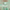 https://res.cloudinary.com/billionhands/image/upload/v1780015865/items/f5ilnxnbarxsmmpngiki.webp-0cover