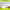 https://res.cloudinary.com/billionhands/image/upload/v1780015879/items/ppgdgeg2admneveildy2.webp-3cover