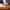 https://res.cloudinary.com/billionhands/image/upload/v1780018537/items/mdlpepwf6nu2paqghhd9.webp-2cover
