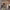 https://res.cloudinary.com/billionhands/image/upload/v1780021816/items/f0kyjcxnnpkx0ogb1gjt.jpg-0cover