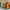 https://res.cloudinary.com/billionhands/image/upload/v1780022547/items/a7y3xkvmqhekm7q4eaxh.jpg-3cover